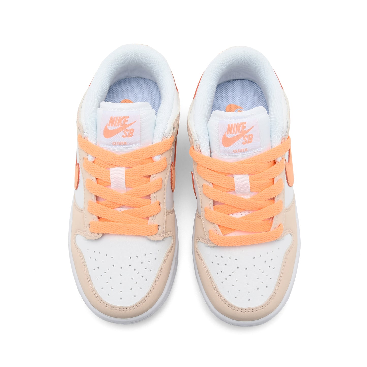 NIKE SB Dunk Low Pro