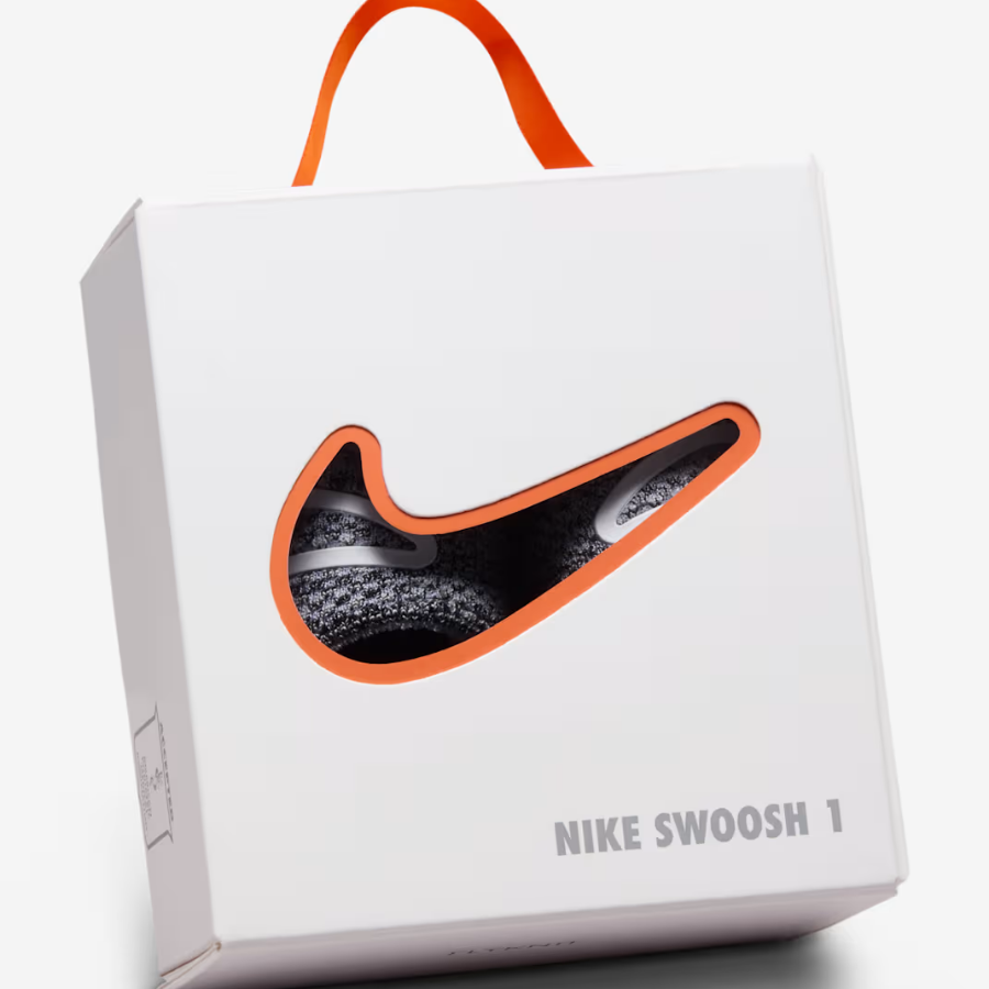 NIKE SB Dunk Low Pro